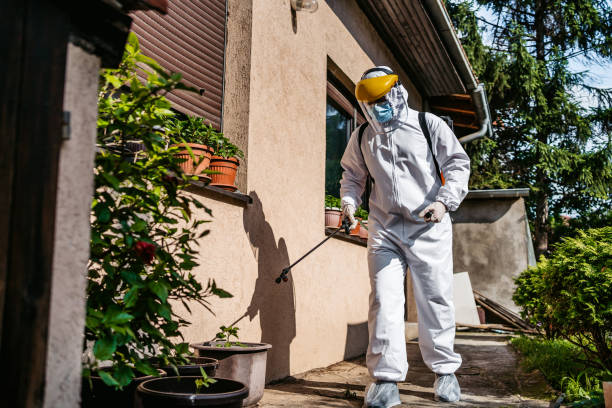 Best Wasp Removal Services  in Unadilla, GA
