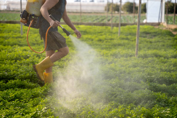 Best Best Pest Control Companies  in Unadilla, GA