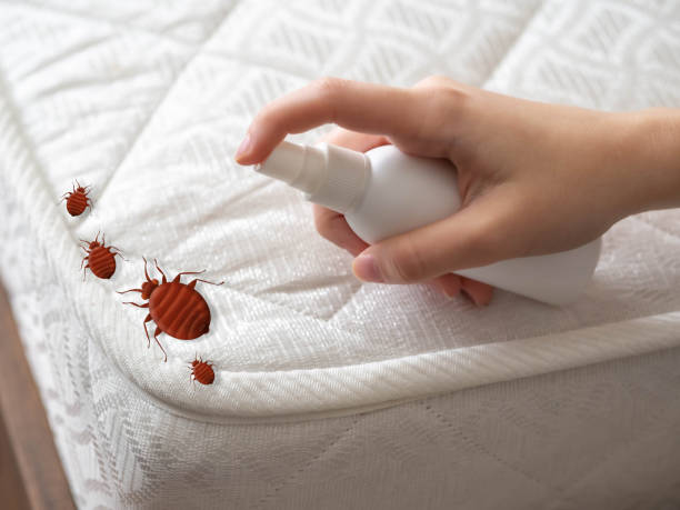 Best Pest Inspection Near Me  in Unadilla, GA