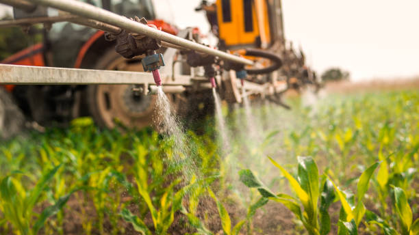 Best Pest Removal Services  in Unadilla, GA